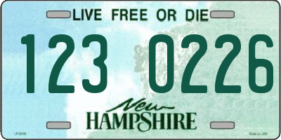 NH license plate 1230226