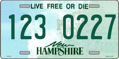 NH license plate 1230227