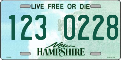 NH license plate 1230228