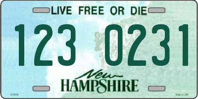 NH license plate 1230231