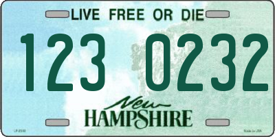 NH license plate 1230232