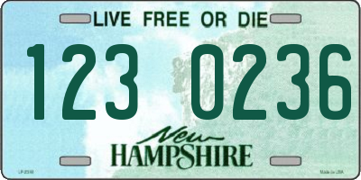 NH license plate 1230236