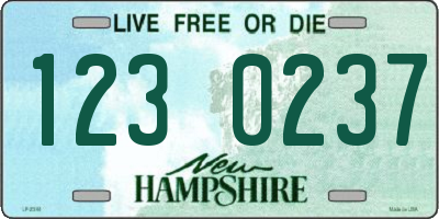 NH license plate 1230237