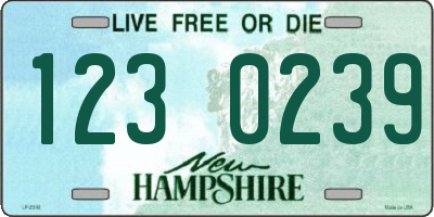 NH license plate 1230239