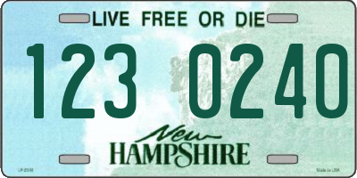 NH license plate 1230240