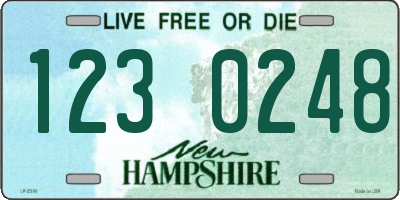 NH license plate 1230248