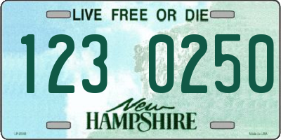 NH license plate 1230250