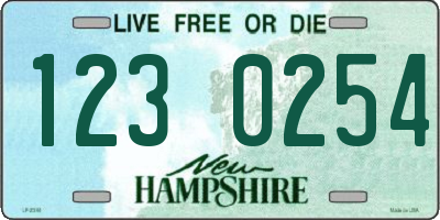 NH license plate 1230254