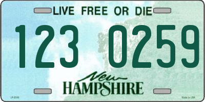 NH license plate 1230259