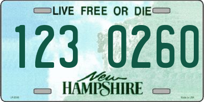 NH license plate 1230260