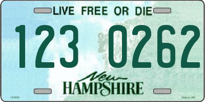 NH license plate 1230262