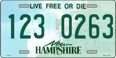 NH license plate 1230263