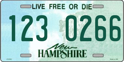 NH license plate 1230266