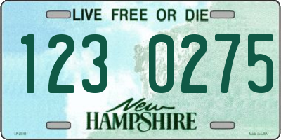 NH license plate 1230275