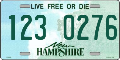 NH license plate 1230276