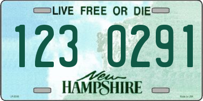 NH license plate 1230291
