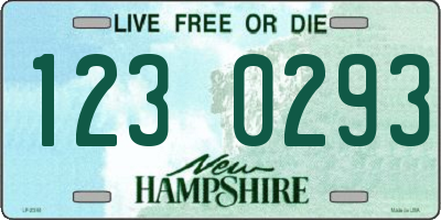 NH license plate 1230293