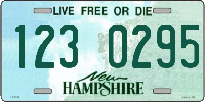 NH license plate 1230295