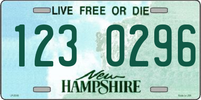 NH license plate 1230296