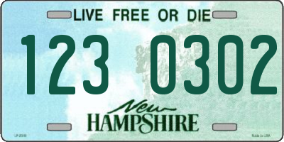 NH license plate 1230302
