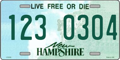 NH license plate 1230304