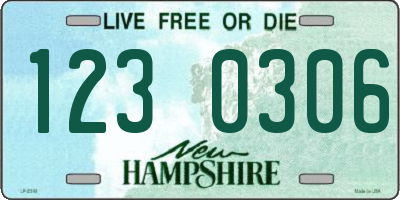 NH license plate 1230306