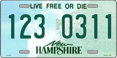 NH license plate 1230311