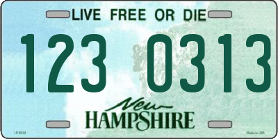 NH license plate 1230313