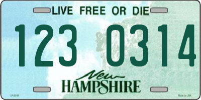 NH license plate 1230314