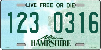 NH license plate 1230316