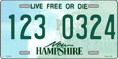 NH license plate 1230324