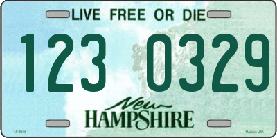 NH license plate 1230329