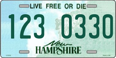 NH license plate 1230330