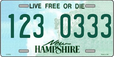NH license plate 1230333