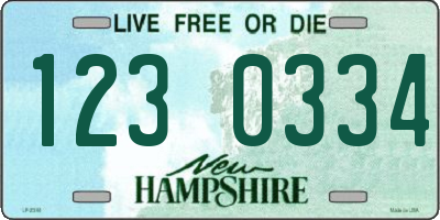 NH license plate 1230334