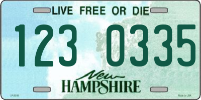 NH license plate 1230335
