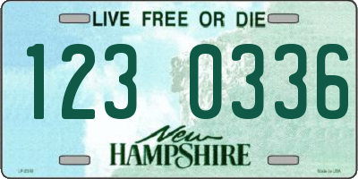 NH license plate 1230336