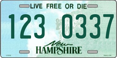 NH license plate 1230337