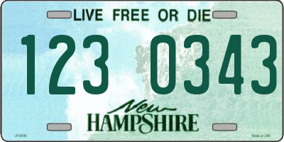 NH license plate 1230343