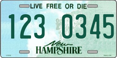NH license plate 1230345