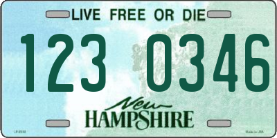 NH license plate 1230346