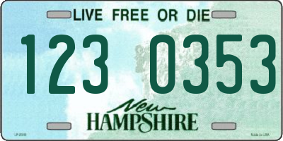 NH license plate 1230353