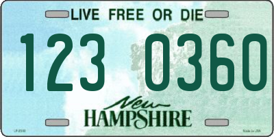 NH license plate 1230360