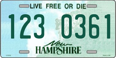 NH license plate 1230361