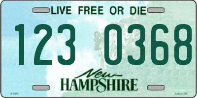 NH license plate 1230368