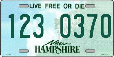 NH license plate 1230370