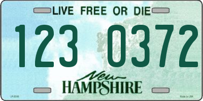 NH license plate 1230372