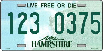 NH license plate 1230375