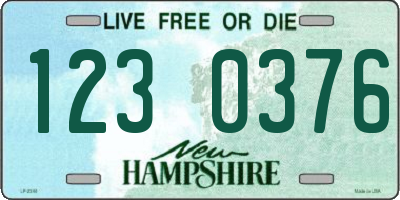 NH license plate 1230376