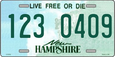 NH license plate 1230409